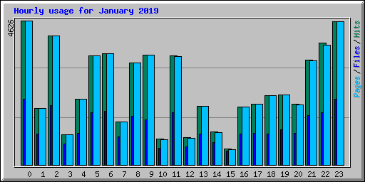 Hourly usage for January 2019